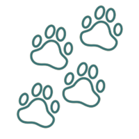 Pets